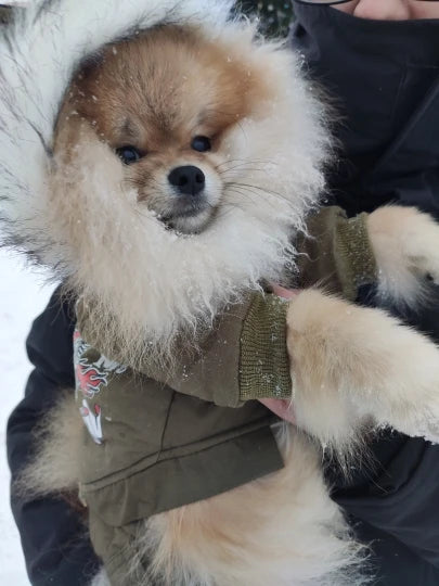 New Thickness Hooded Driver Style Pet Dogs Four Legs Cotton Winter Coat Dog Jumpsuit Warm Small Puppy Dogs Clothing