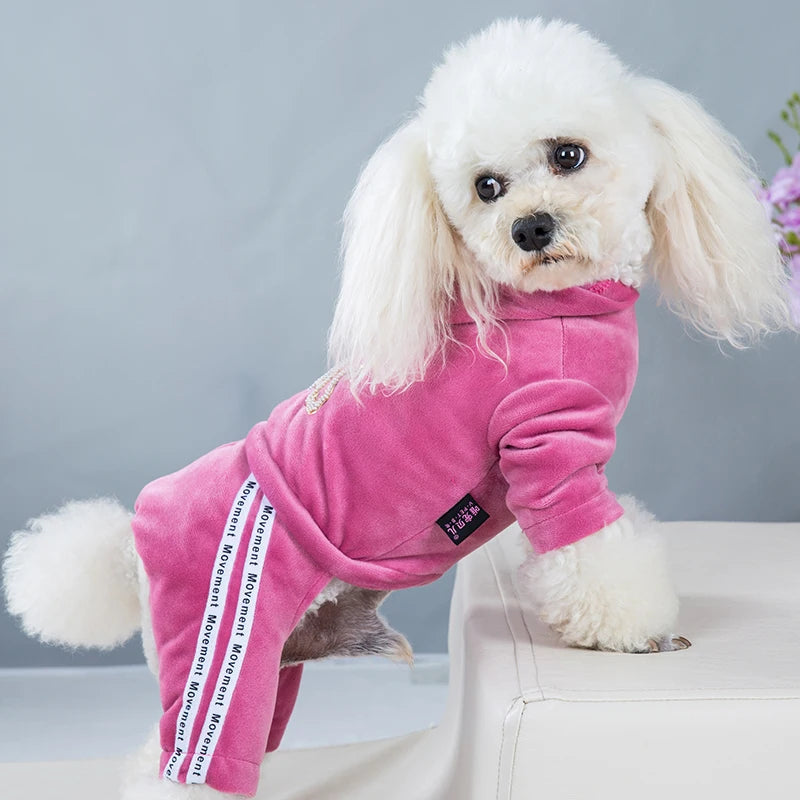 Perfect for pampering your beloved pet with style and luxury during the cold season.