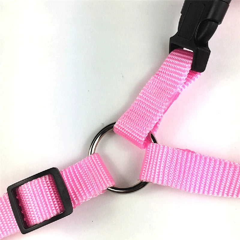 Nylon Safety Belt for Dogs Solid Color Two-in-one Pet Car Seat Belt Leash Adjustable Dog Harness Collar Products Pet Accessories