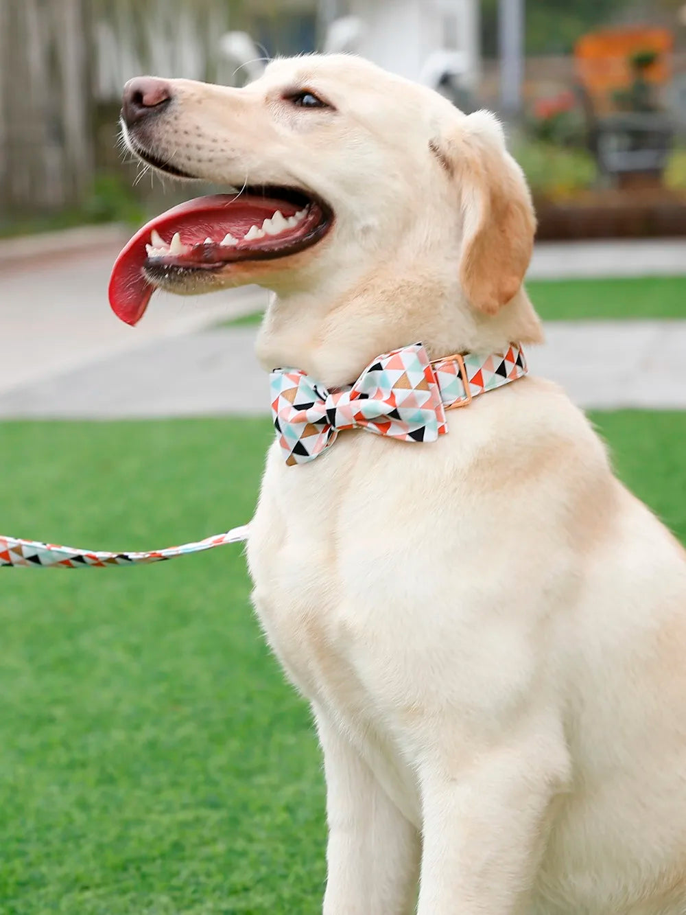 Dog Collar and Leash Set with Bow Tie Soft and Cotton Fabric Collar Rose Gold Metal Buckle Adjustable Pet Accessory