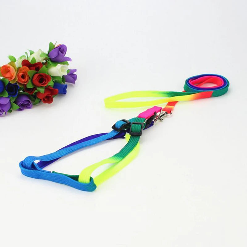 Colorful Rainbow Pet Dog Collar Harness Leash Soft Walking Harness Lead Colorful and Durable Traction Rope Nylon 120cm