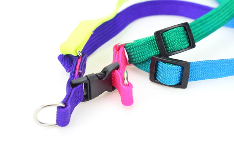 Colorful Rainbow Pet Dog Collar Harness Leash Soft Walking Harness Lead Colorful and Durable Traction Rope Nylon 120cm