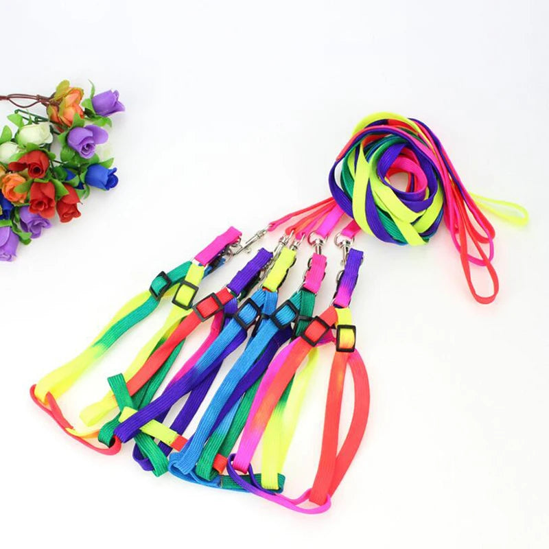 Colorful Rainbow Pet Dog Collar Harness Leash Soft Walking Harness Lead Colorful and Durable Traction Rope Nylon 120cm