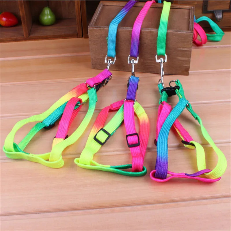 Colorful Rainbow Pet Dog Collar Harness Leash Soft Walking Harness Lead Colorful and Durable Traction Rope Nylon 120cm