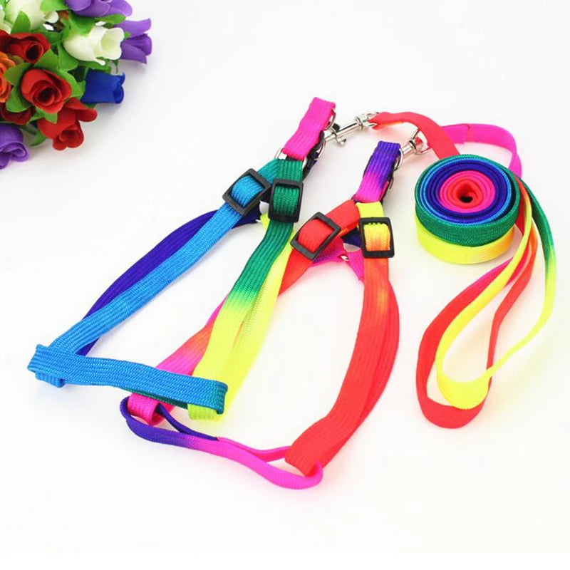 Colorful Rainbow Pet Dog Collar Harness Leash Soft Walking Harness Lead Colorful and Durable Traction Rope Nylon 120cm