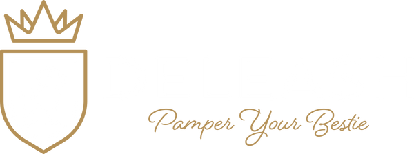 Deleash LLC