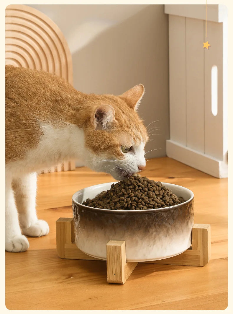 Cat Double Bowls Set 700ML Pet Food Water Feeders Small Medium Dogs Ceramic Gradient Color Bowls with Wooden Stand