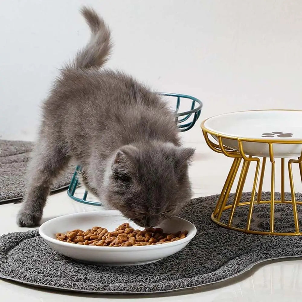 For Dog Cat Snack Canned Plate Elevated Cat Feeder Drinker Cat Food Bowl Water Feeder Container Pet Feeder Bowl Pet Supplies