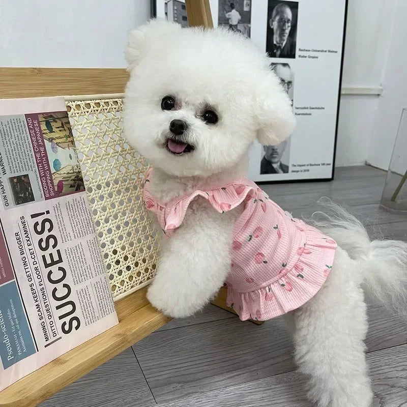 Pet Princess for Dog Small Dog Clothes Cute Peach Flying Sleeve Dog Dress for Female Cat Skirt S-XL