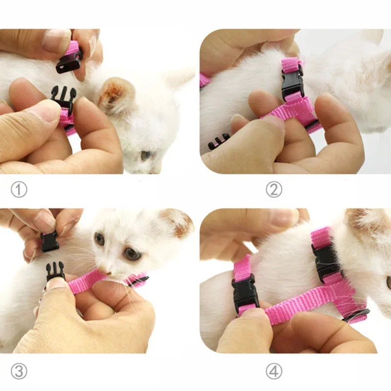 Cute Angel's Wings dog Cat Harness with Leash Adjustable Collar Nylon Rope for Cat Puppy Dog Pig Small Pet Animal Accessories