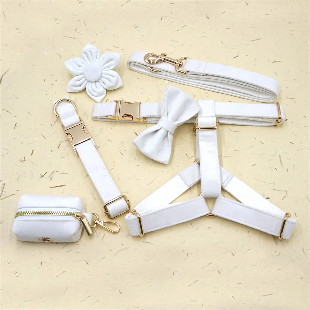 White Velvet Pet Dog Collar Luxury 5PCS/Set Dog Collar Harness with Gold Buckles Anti-Lost Cute Bow Collar and Lead