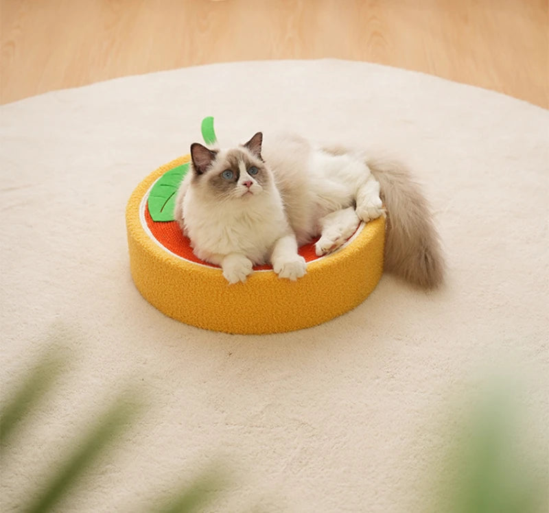 Cat Scratcher 2 In 1 Cat Anti Scratch Bed Cute Shape Cat Scratching Bed Round Cat Scratch Protection Paw Toy Gatos Accesorios