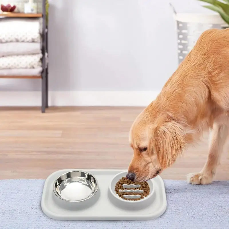 Ergonomic Cat Feeder Double Bowl Stainless Steel Raised Silicone Dog Bowl For Dogs Large No Spill Pet Cat Food Supplies