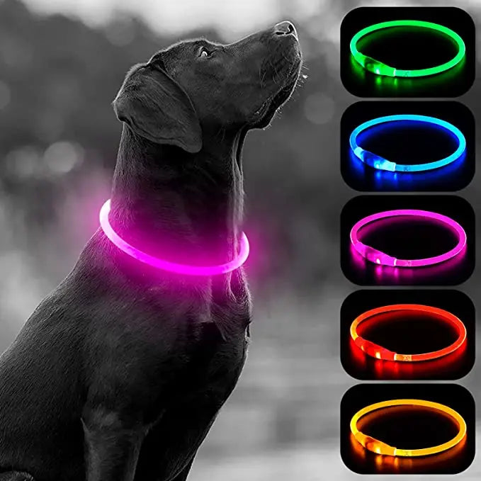 Luminous Dog Collar Light Charge Cat Necklace, Led Fashion Flashing DIY Glowing Safety Collar for Dogs Nighttime Pet Accessorie