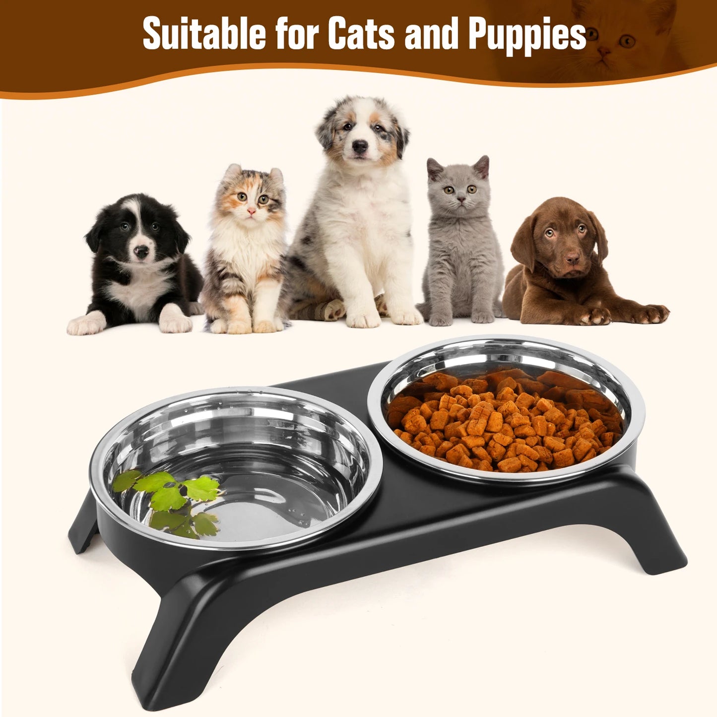 Elevated Cat Bowls, Dog Bowl,Stainless Steel Raised Cat Food Water Bowl Set with ABS  Anti Slip Stand for Indoor Cats