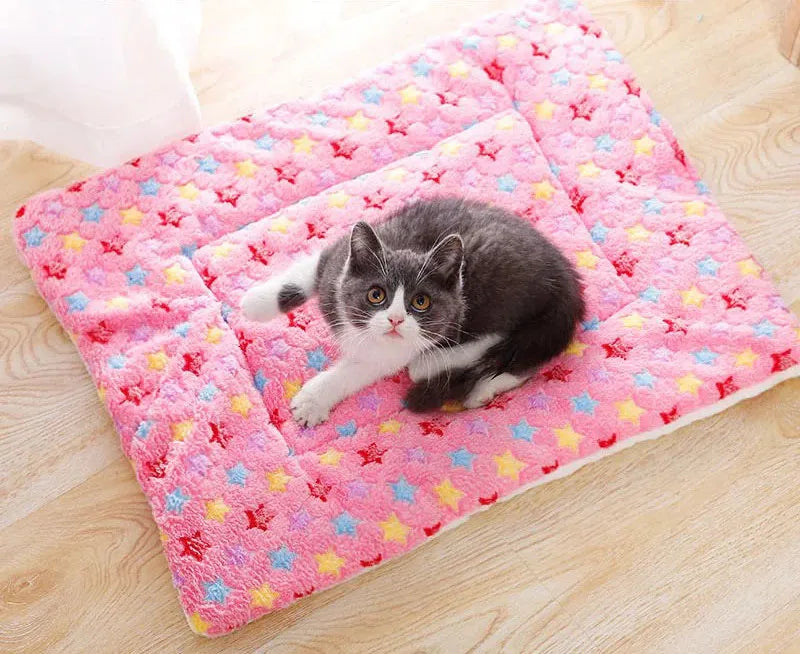 Dog Blanket Soft Cute Pet Cat Blanket Dog Cat Bed Mat Warm Fleece Design Pet Puppy Bed Sofa Pet Product Cushion Cover Towel