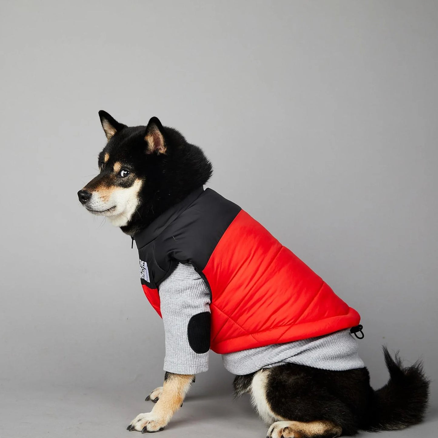 Dog Face Punch Large Dogs Winter Warm Raincoat Anti Pet Cotton Clothing Windproof Rainproof Dog Coat