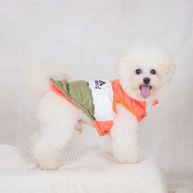 Pet Clothes Dog Designer Clothes Luxury Fashion Dog Casaca Perrito Teddy Three Color Cat Cotton Coat Warm Up In Winter