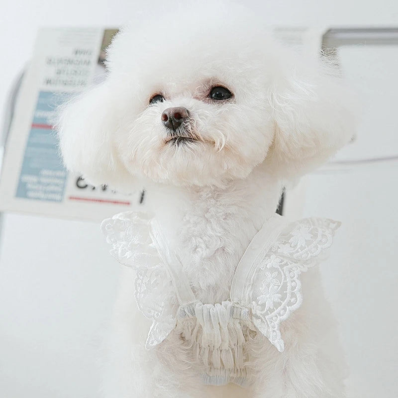 Dog Clothes Puppy Kitten Cat Dog Dress Lace Pet Apparel Chihuahua Bichon Yorkie Costume Pet Clothing 2024 Dog Cooling Vest