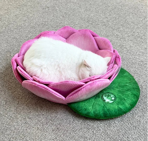 Cat Accessories Soft Sofa Cozy Round  Plush Multi Made Washable Chew Proof Eco Friendly Luxury Pet Cat Dog Beds and Furniture