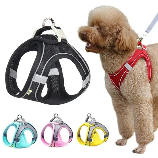 Summer Mesh Safety Vest and Leash Set for Small Dogs Dog Accessories Adjustable Puppy and Cats Harness Pet Supplies Collar Pets