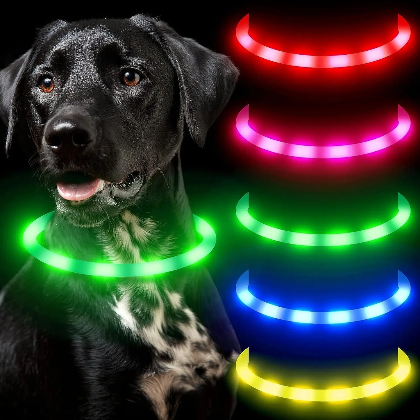 Led Usb Dog Collar Pet Dog Collar Night Dog Collars Glowing Luminous Rechargeable LED Night Safety Flashing Glow