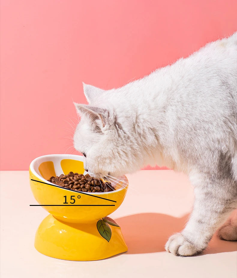 Cat Ceramic Bowl Fruit Shape Small Dogs Food Water Snack Bowls Pet Elevated Drink Eat Feeders Puppy Cats Cute Feeding Supplies