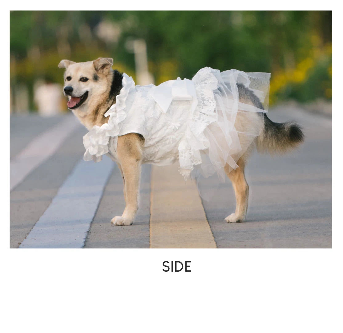 Wedding Dress for Dogs Luxury White Lace Ruffles Princess Dress with Big Ribbon Bow for Girl Dog Party Pet Formal Dress Costume