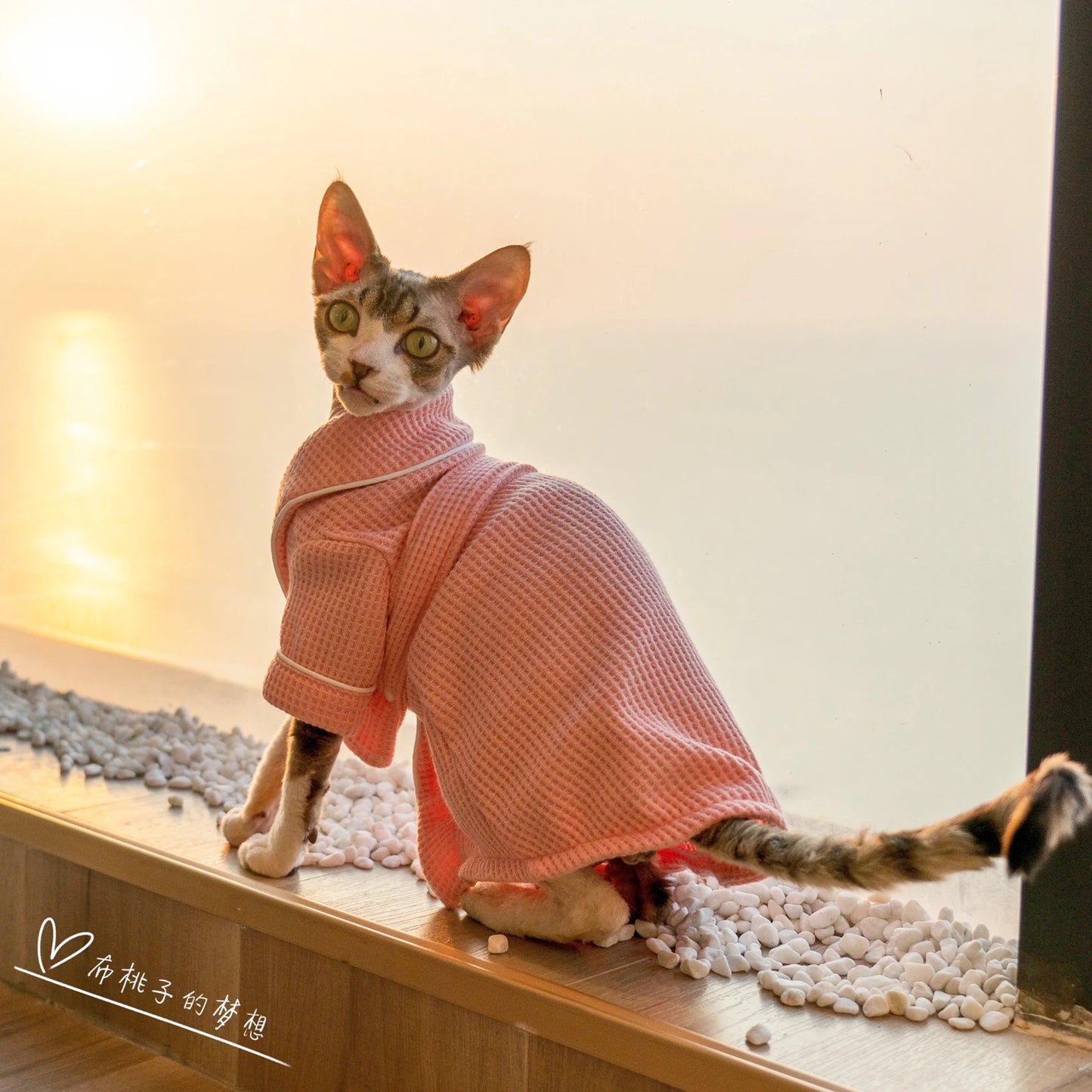 Luxury Cat Pink Pajamas Senior Fabric Cat Coat Pet Sweet Clothing For Cat Devon Rex Soft Loungewear for Kittens