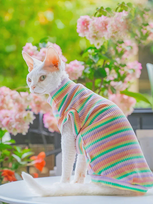 Striped Cotton Shirt for Cat Soft Rainbow Sleeveless Coat for Kittens Elestic Vest  Loungewear for Cats Pet