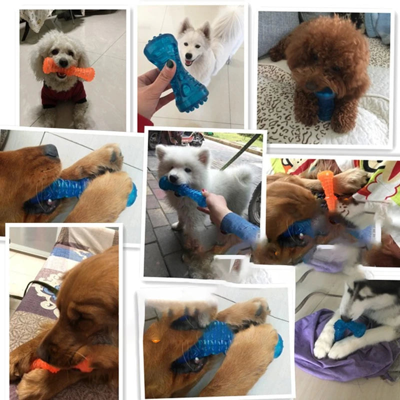 Bite Resistant Pet Toy Toothbrush Bone Sturdy Dog Toy Interactive Puppy Game Toy Dog Bone Rubber Puppy Chew Toy Dog