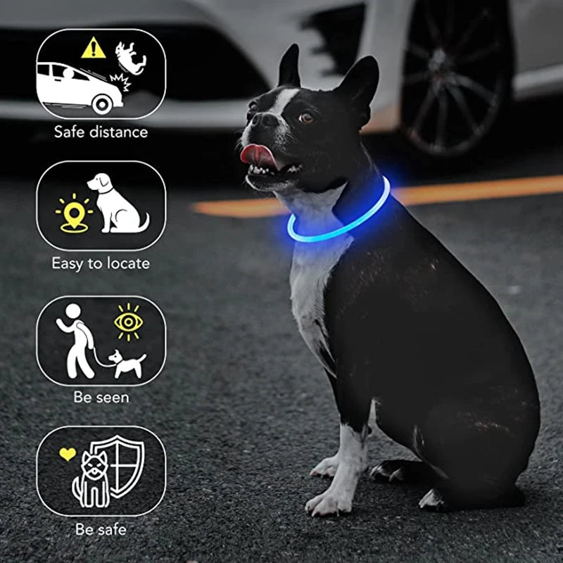 Luminous Dog Collar Light Charge Cat Necklace, Led Fashion Flashing DIY Glowing Safety Collar for Dogs Nighttime Pet Accessorie