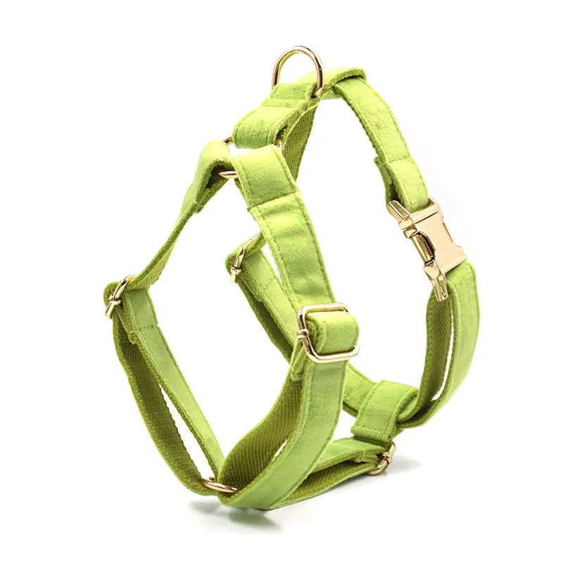 Fruit Green Velvet Dog Harness Luxury Designer Pet Collar with Gold Metal Buckles Medium Large Dog Traction Kit