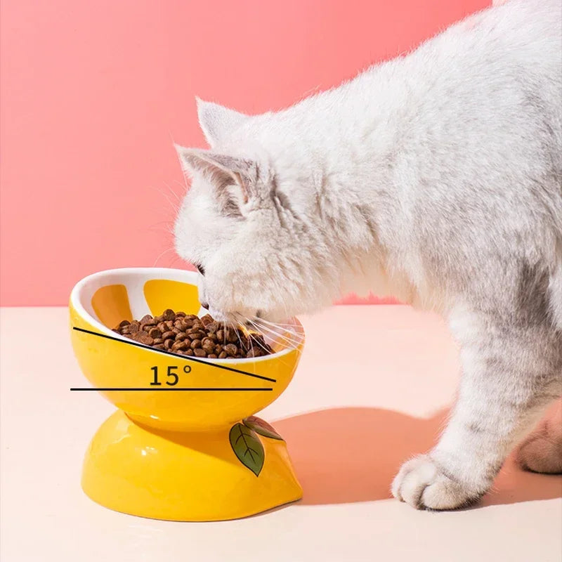 Cat Ceramic Bowl Fruit Shape Small Dogs Food Water Snack Bowls Pet Elevated Drink Eat Feeders Puppy Cats Cute Feeding Supplies