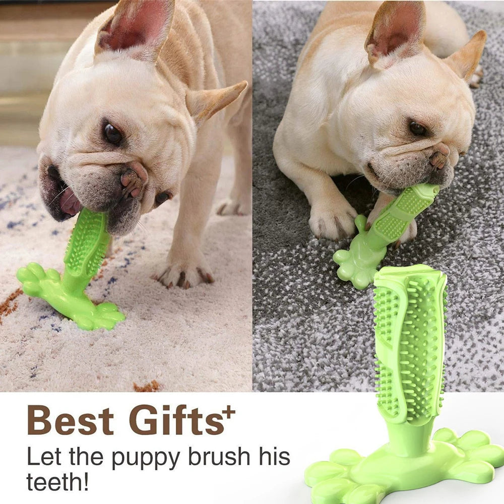 Cuttie Dog Toys for Large Dogs Toothbrush Squeak Toys for Small Dogs Puppy Squeaky Chew Toy Teeth Cleaning Supply Pet Products