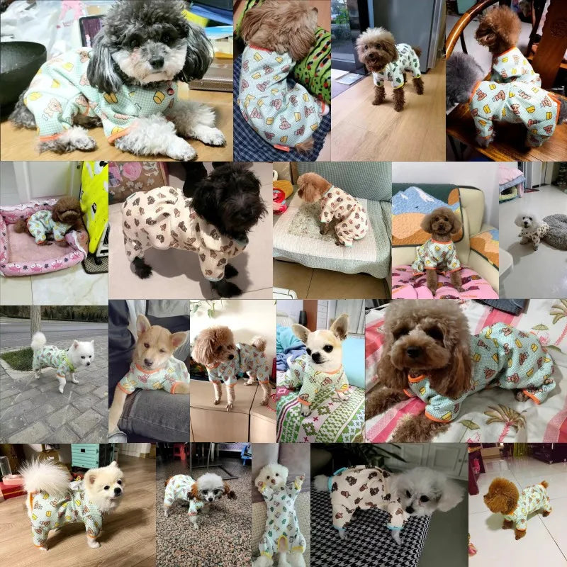 Fashion Pet Dog Clothes for Small Dogs Spring Dog Jumpsuit Cartoon Print Puppy Pajamas Cute Cat Clothing Pet Chihuahua Clothes