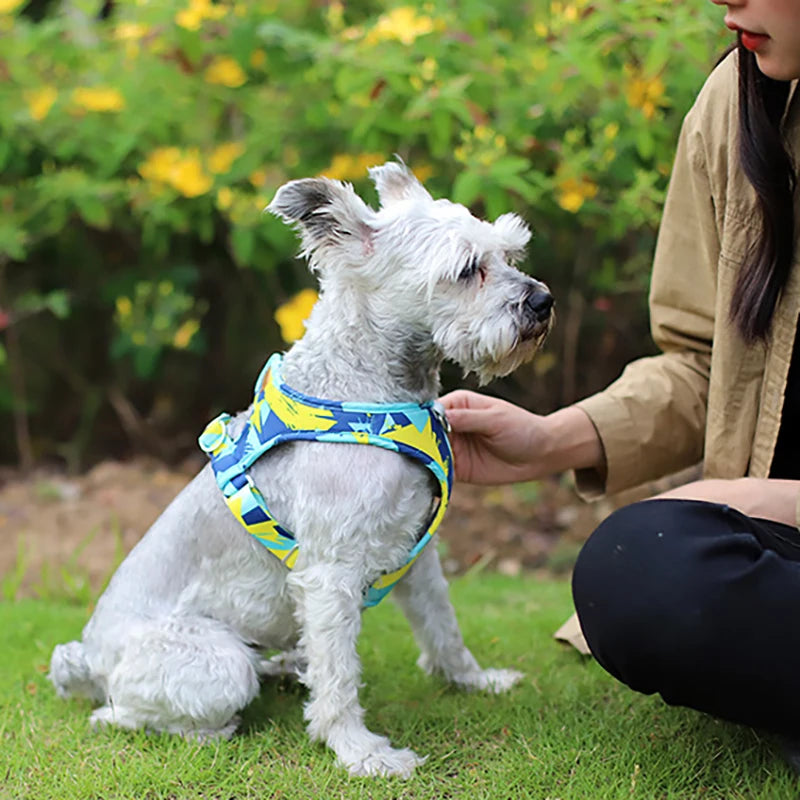 New Dog Cat Harness Adjustable Vest Walking Lead Leash For Puppy Dogs Collar Polyester Mesh Harness For Small Medium Dog Cat Pet