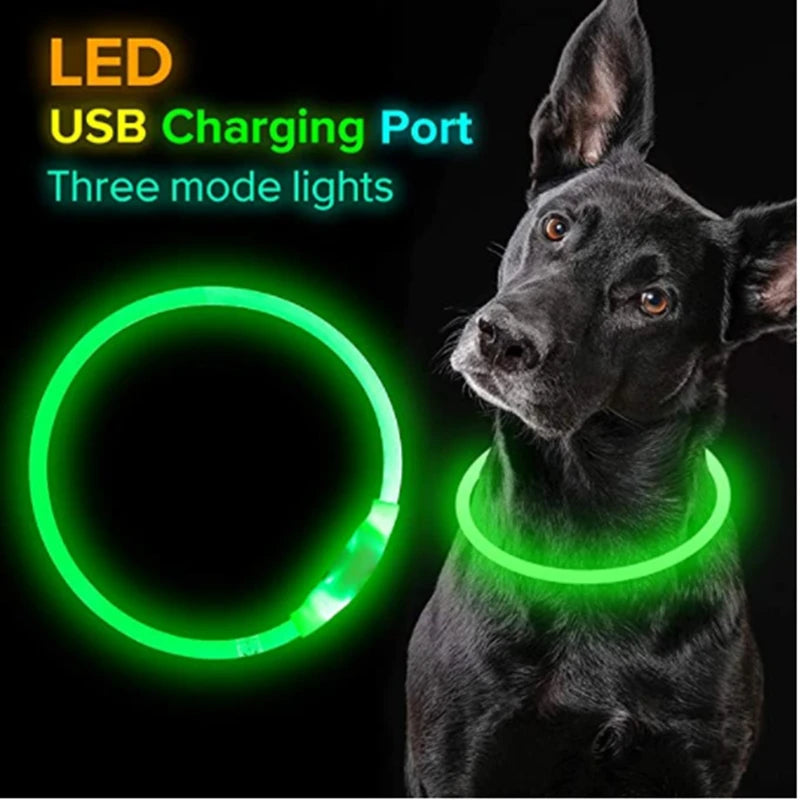 Luminous Dog Collar Light Charge Cat Necklace, Led Fashion Flashing DIY Glowing Safety Collar for Dogs Nighttime Pet Accessorie