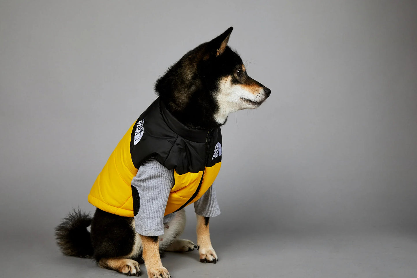 Dog Face Punch Large Dogs Winter Warm Raincoat Anti Pet Cotton Clothing Windproof Rainproof Dog Coat