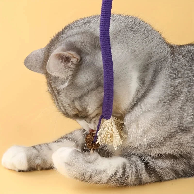 Cat Toys Silvervine Cat Teaser Toy Interactive Molar Cotton Rope Toys Clean Mouth Kitten Play Toy Cat Toys Silvervine Cat Teaser