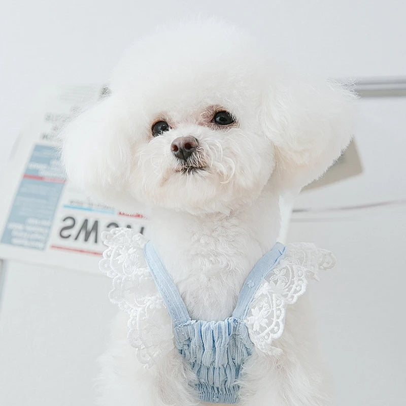 Dog Clothes Puppy Kitten Cat Dog Dress Lace Pet Apparel Chihuahua Bichon Yorkie Costume Pet Clothing 2024 Dog Cooling Vest