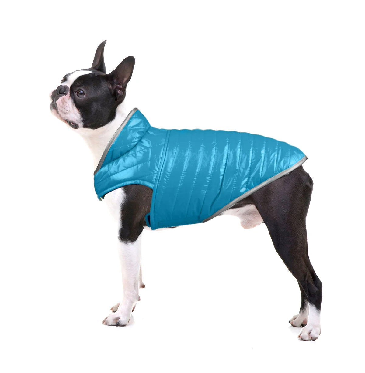 Reversible Dog Clothes Reflective Winter Dogs Down Jacket For Small Large Dogs Pet Cat Labrador French Bulldog Jackets Coat