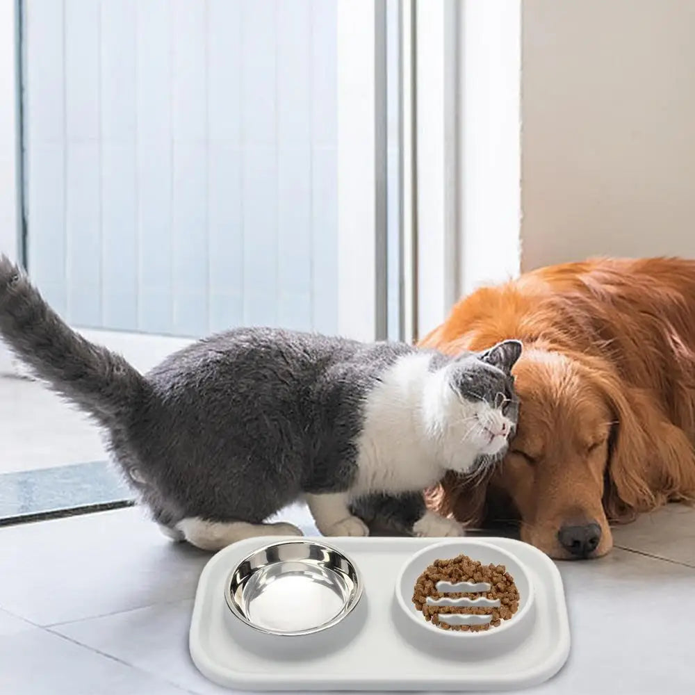 Ergonomic Cat Feeder Double Bowl Stainless Steel Raised Silicone Dog Bowl For Dogs Large No Spill Pet Cat Food Supplies