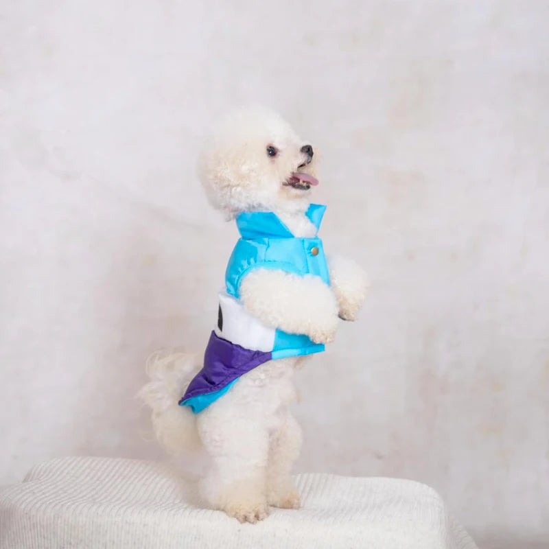 Pet Clothes Dog Designer Clothes Luxury Fashion Dog Casaca Perrito Teddy Three Color Cat Cotton Coat Warm Up In Winter