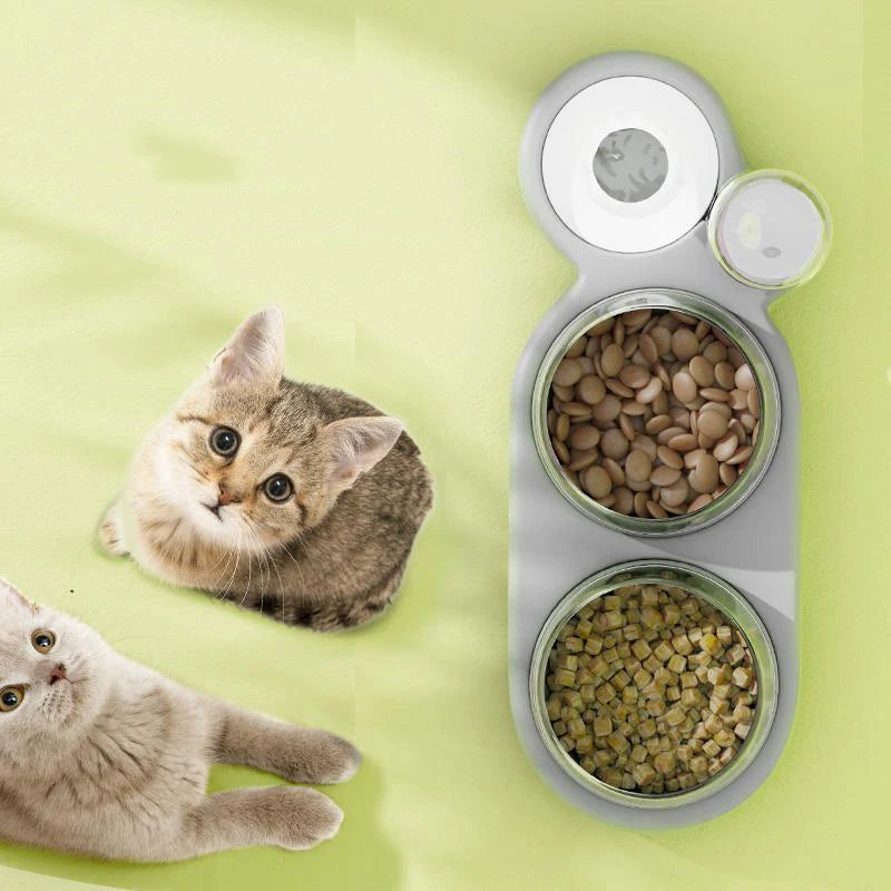 Cat Food Bowl Pet Dog Automatic Feeder With Water Dispenser Drinking For Cat Dog Double Bowl Raised Stand Dish 3 in 1