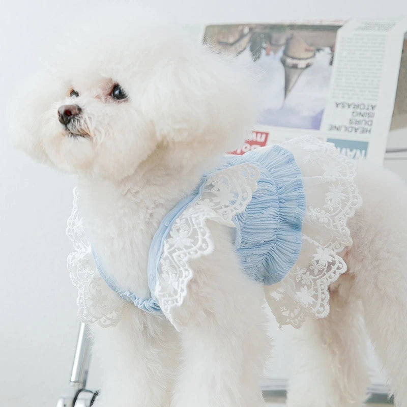 Dog Clothes Puppy Kitten Cat Dog Dress Lace Pet Apparel Chihuahua Bichon Yorkie Costume Pet Clothing 2024 Dog Cooling Vest