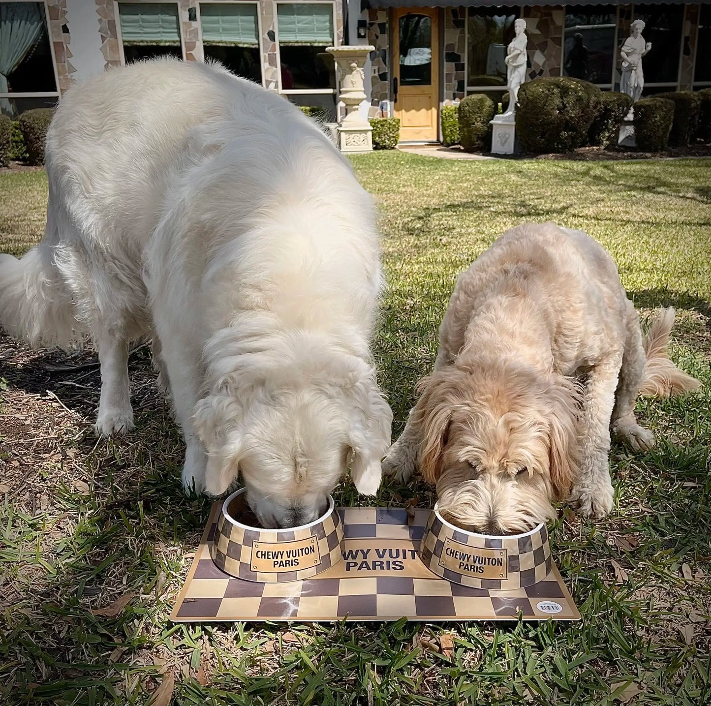 Luxury Brand Designer Dog Bowl Bowls With Placemat Puppy Cat Feeder Non-slip Crash French Bulldog Bowl For Small Dogs