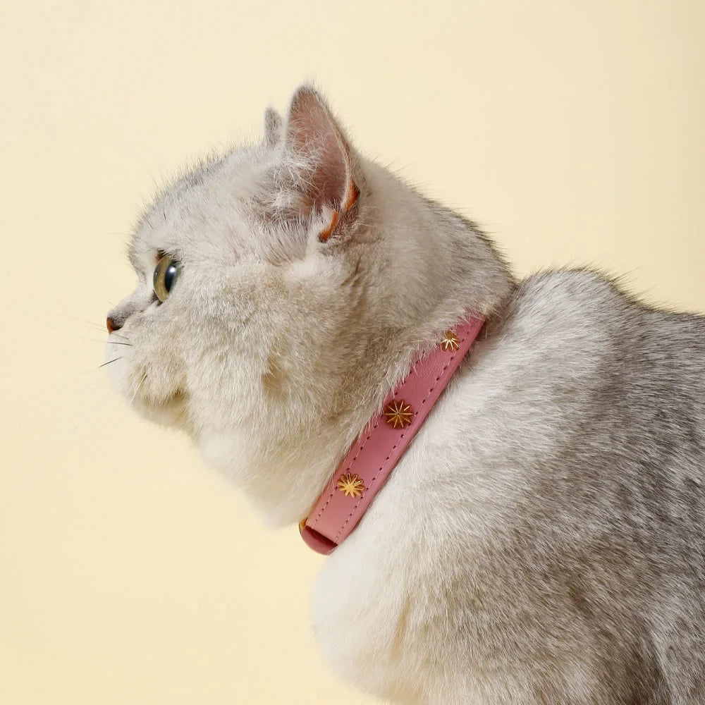 Designers Leather Cat Collar Gold Rivet Kitten Necklace for Cats Small Dog Puppy Accessories Pet Supplies Chihuahua 1.3 CM Width