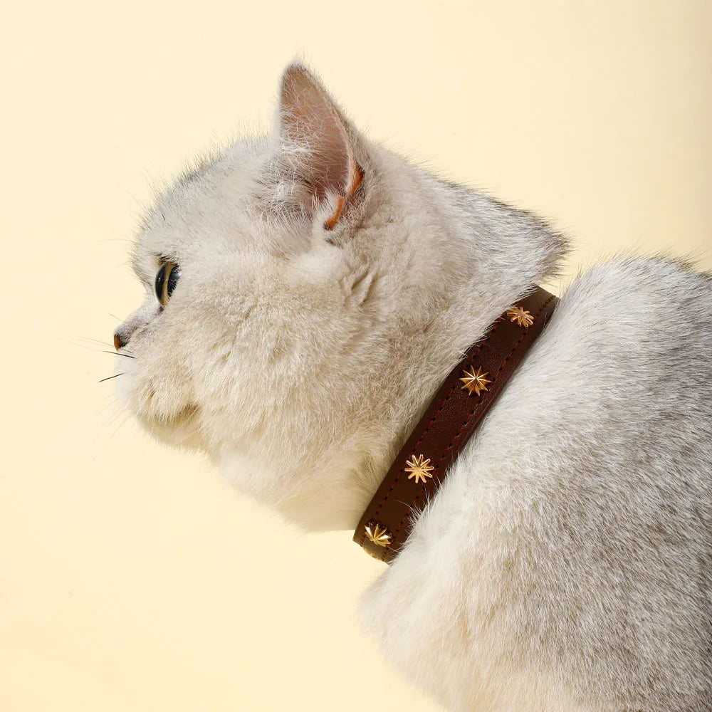 Designers Leather Cat Collar Gold Rivet Kitten Necklace for Cats Small Dog Puppy Accessories Pet Supplies Chihuahua 1.3 CM Width