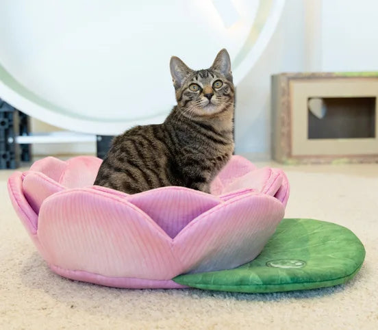 Cat Accessories Soft Sofa Cozy Round  Plush Multi Made Washable Chew Proof Eco Friendly Luxury Pet Cat Dog Beds and Furniture